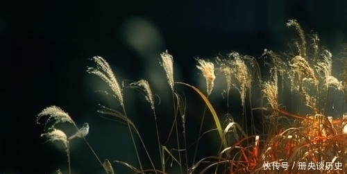 王维$他诗名不显,七律却曾胜杜甫一筹,一首送别小诗可见一斑