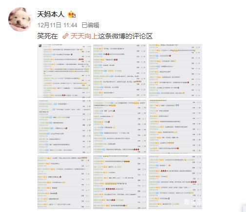 有翡|王一博的”啵圈“大戰(zhàn)，謝允一騎絕塵，天媽為王天天力挽狂瀾