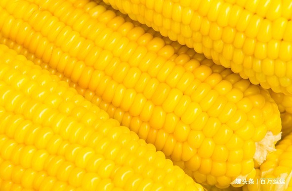玉米|肝病的“大冤家”,平时放开肚子吃4物养肝排毒!身体越来越好