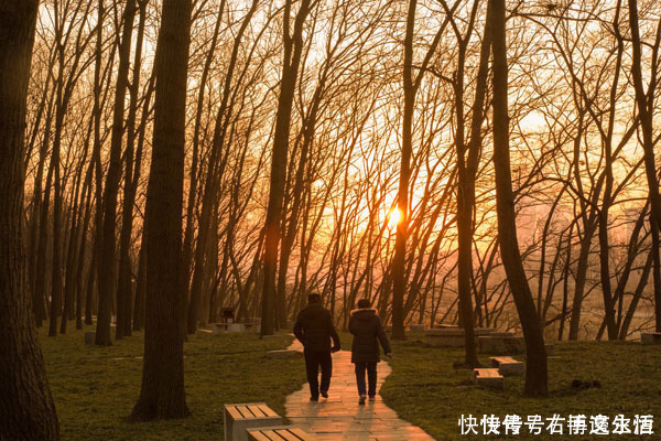 老年人|4条坑人的养生建议，听着合理，做着伤身，以后不要再做了