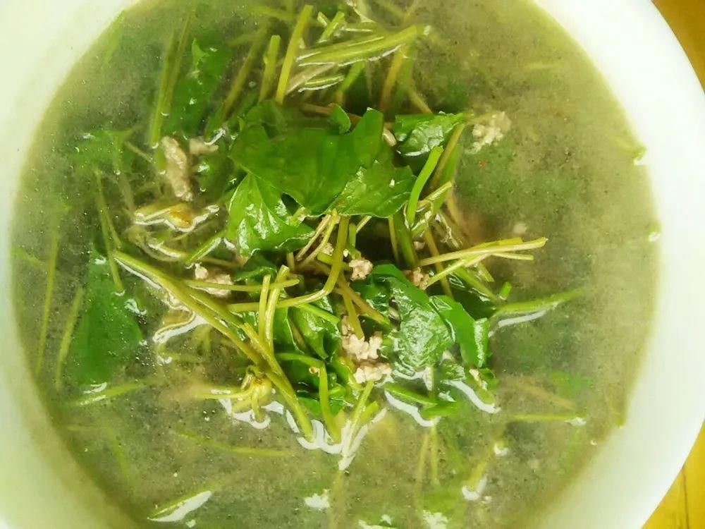 沙拉菜|若在野外遇到,别当杂草,它就是有名的“积雪草”,目前价值很高