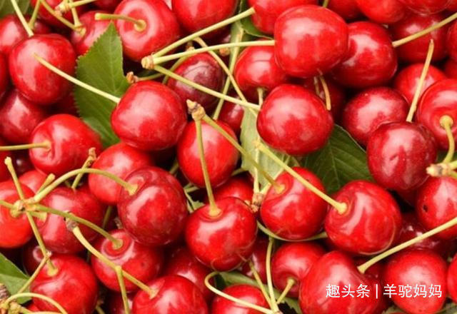 孕妇|孕妇经常吃这4种水果,不仅对宝宝好,也能缓解怀孕带来的反应