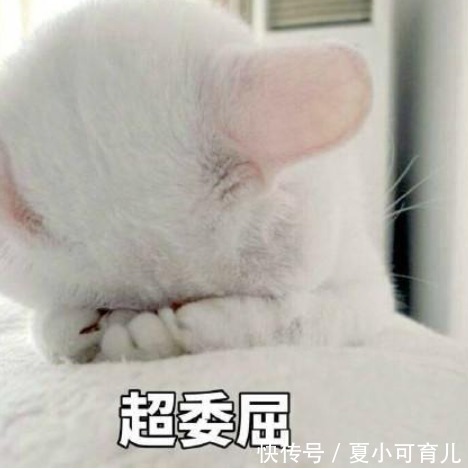 肤质|想要变娇俏,孕期护肤有门道!|换季不换脸 自备好用一生推~