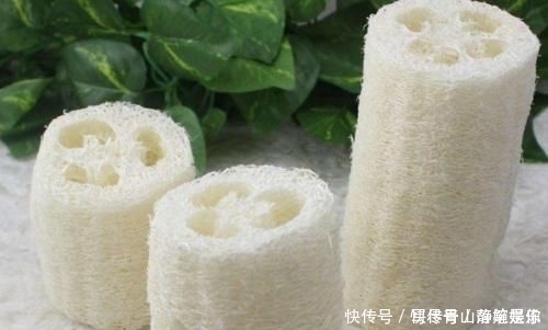 丝瓜络用来洗碗可惜了,放开水里烫一烫,还有厉害作用,太棒了
