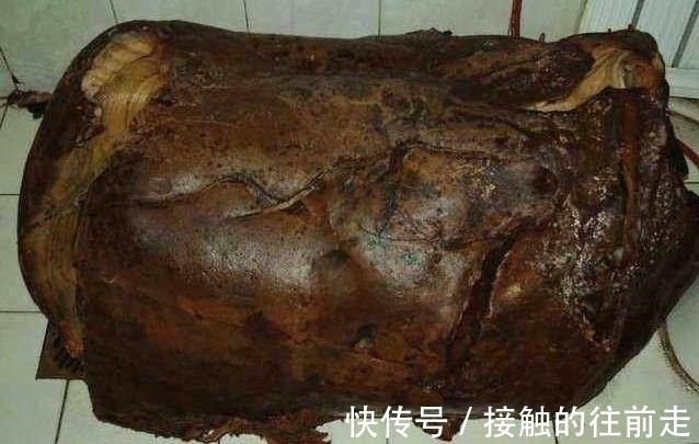 肉灵芝！秦始皇到死都没找到它，竟让一位农民无意间捡到，价值不可估量！
