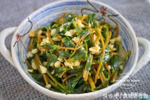马齿苋|本是菜园里的草,没舍得除掉,随手一拌就是好菜,吃上瘾了