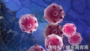 川大黄|7个肝硬化民间”小药方“,老中医口口相传,留着备用