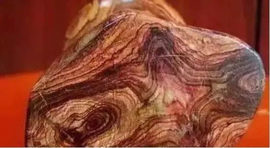 不止|冒充海黄的玩意儿,可不止紫檀柳!