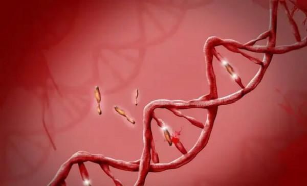 学霸|夫妻哪种血型生出的孩子智商高若是这种组合,可能生出个学霸