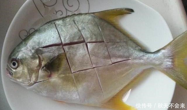 媳妇做清蒸鲳鱼,不放食盐和料酒,原汁原味,鱼肉鲜嫩不腥也不柴