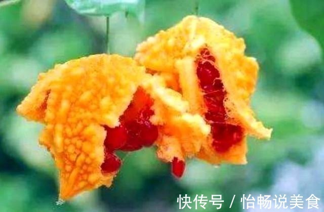 免疫力|老人常吃这3种食物,补充营养有益健康,提高自己免疫力