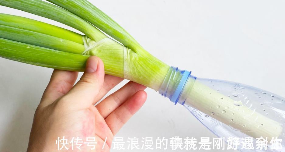 用塑料瓶做切葱神器，不伤手不辣眼睛，比刀切还好用，简单又方便