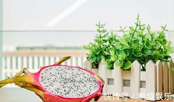 火龙果|经常便秘的人,不妨多吃五类食物,帮助润滑肠道,排便通畅人舒服