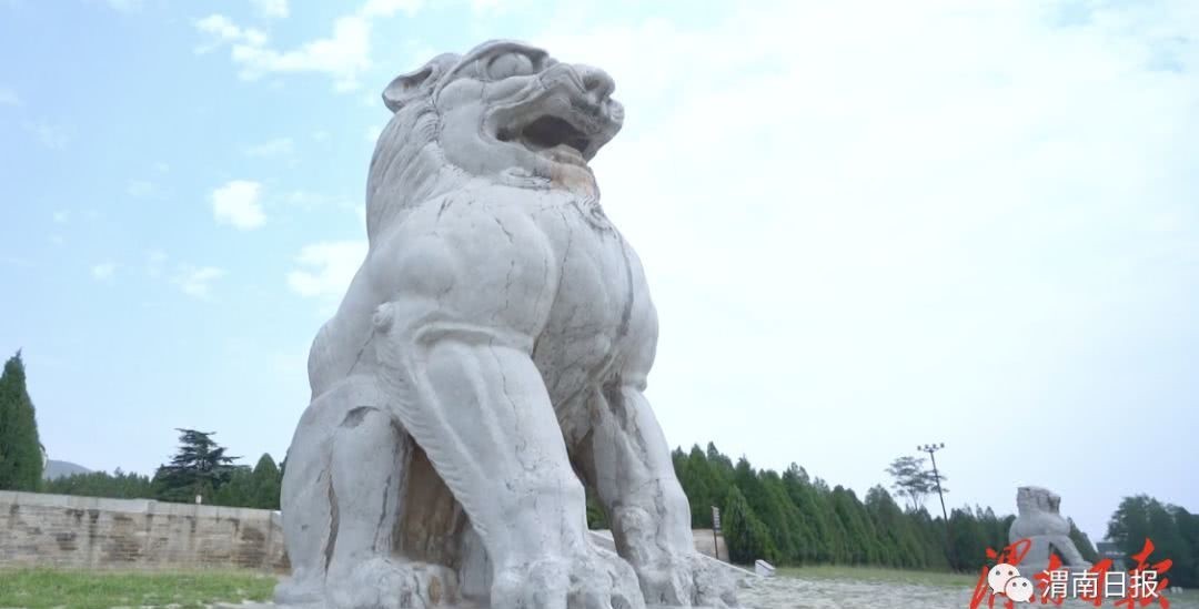 守护者|大唐帝陵的守护者 专属蒲城导游的奇妙十二时辰