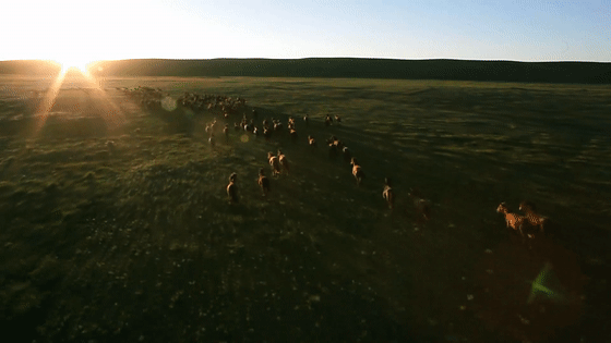 数学@9部孩子必看的顶级纪录片，知识点满满，推荐收藏