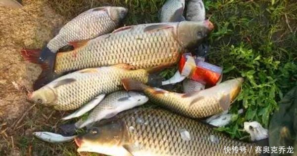 没用|钓鱼技巧:鲜为人知的钓鱼冷知识,看似没用,其实影响了渔获量