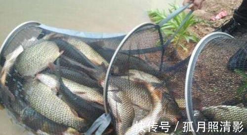 鱼类|钓鱼的最佳时间是什么时候多年经验的钓手告诉你