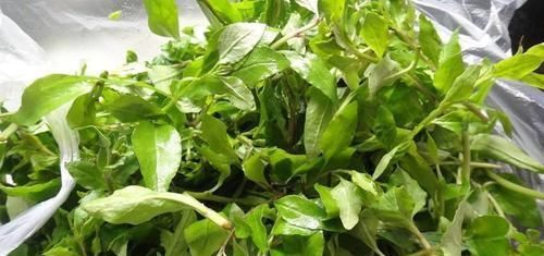 聪明女性都在吃3种食物，美容养生、延缓衰老，身体棒棒哒！