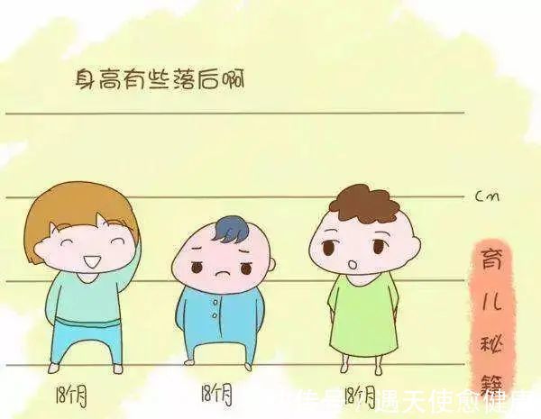 血红蛋白|如何帮孩子长高?五个饮食要点,七个长高运动秘诀!