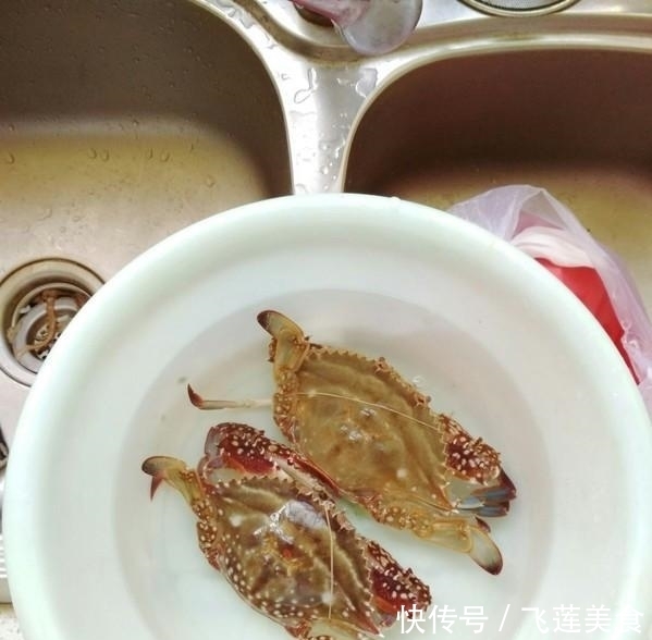 倒入|遇到这种蟹,再贵也要买,不能手软,吃起来比鱼虾更营养,更鲜嫩