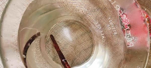 做法|甜品师教你在家自制高颜值果冻,香甜Q弹,做法简单,1次就成功