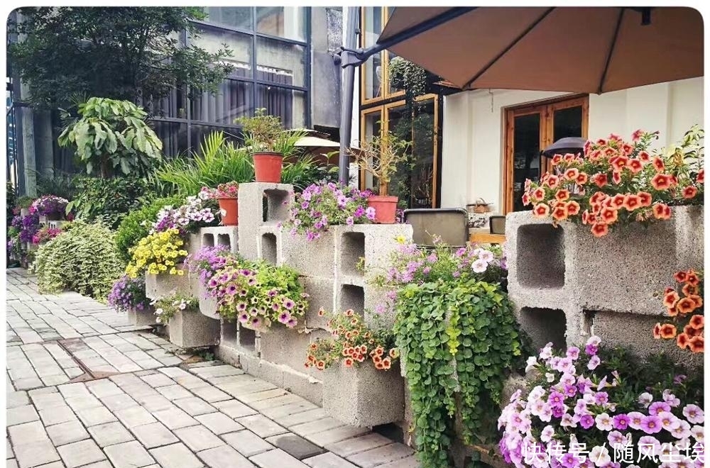 人家|日本发现一户人家庭院,那叫一个漂亮,主人向往的是田园生活