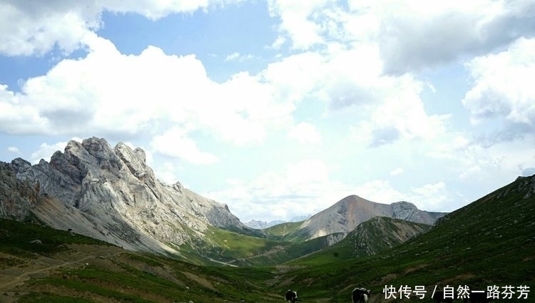 迭部|迭部措美，不忍错过的美丽