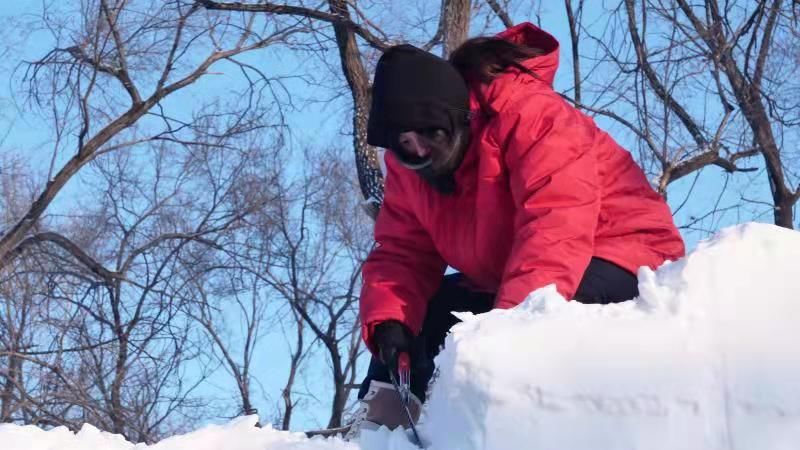 太阳岛|第二十八届全国雪雕比赛在太阳岛开铲