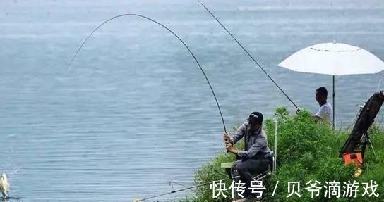 深秋时节渔获不佳？做好这三点，提高渔获很简单