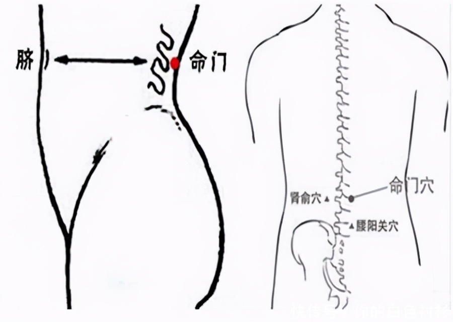  答案|怎么调理阳虚体质答案都在这里