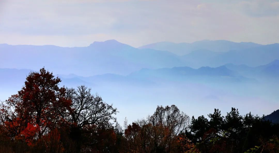 游天台山赋|天台金地岭——佛陇圣地, 这边风景独好!