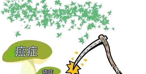 医生|为什么医护人员患了癌症，治疗、恢复的效果更好医生道出实情