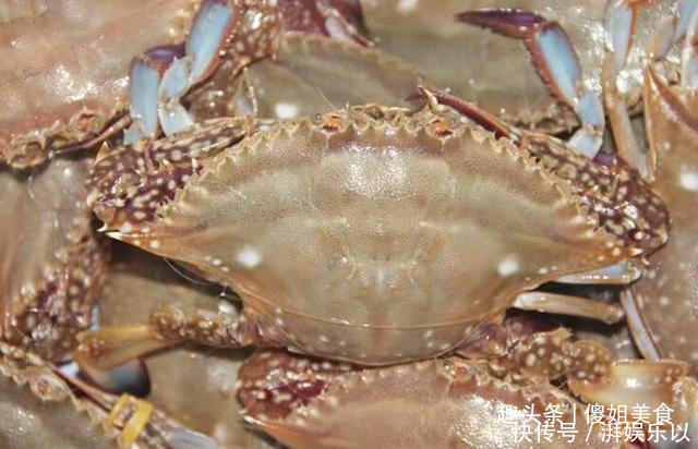 买梭子蟹不会挑老渔民教你1招挑螃蟹，保准个个鲜肥，太香了