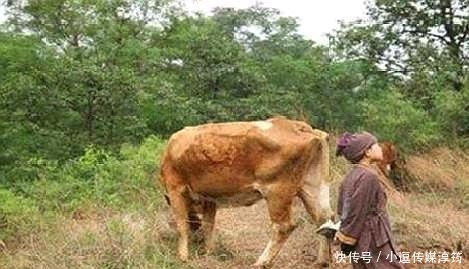 安葬|朱元璋父母去世，向地主借地安葬双亲被拒，称帝后那地主结局如何