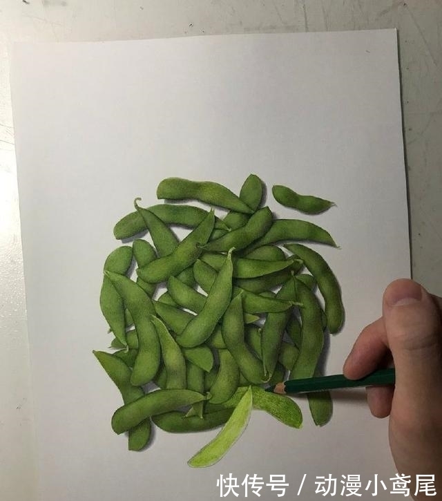 手绘|日本画家手绘超逼真的毛豆!网友:我只看得懂第一步……