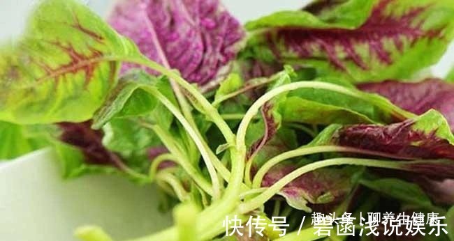 红苋菜|一两苋菜一两金!4种吃法解毒减脂、补钙益脑,胜过诸多大补药!