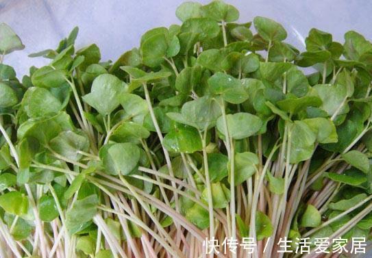 蕎麥芽|秋季養生推薦常吃的食物，營養豐富、延緩衰老，早吃早健康