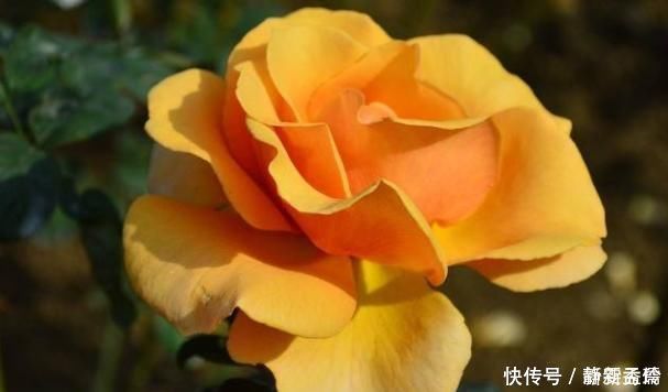 笑面虎|老祖宗说“奸者不离三”,小人身上的3个特点,早明白早防备