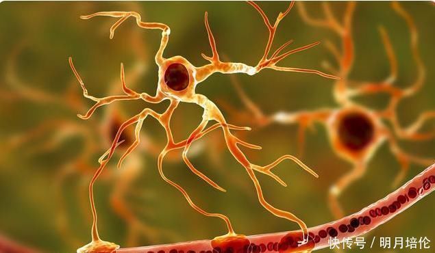 泡水|黄芪和它“天作之合”，坚持泡水喝，养肝护肾，血栓也许退避三舍