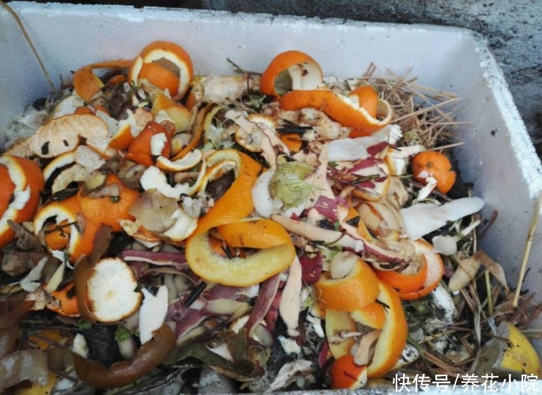 松针土|家里养花多，自制营养土，好用又省钱