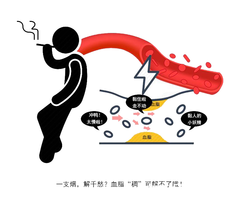 行为|这5个行为或损伤血管健康,若你有,赶紧改,或避免血管堵塞