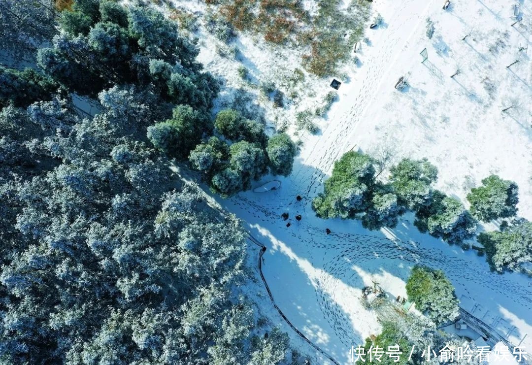 雪景|遂昌大美雪景图！让你一次看个够