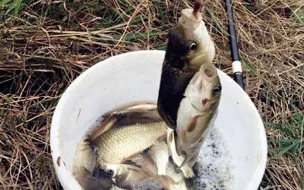 一眼就能看出哪里鱼多,拥有这4种找鱼绝技,冬钓鲫鱼不再难