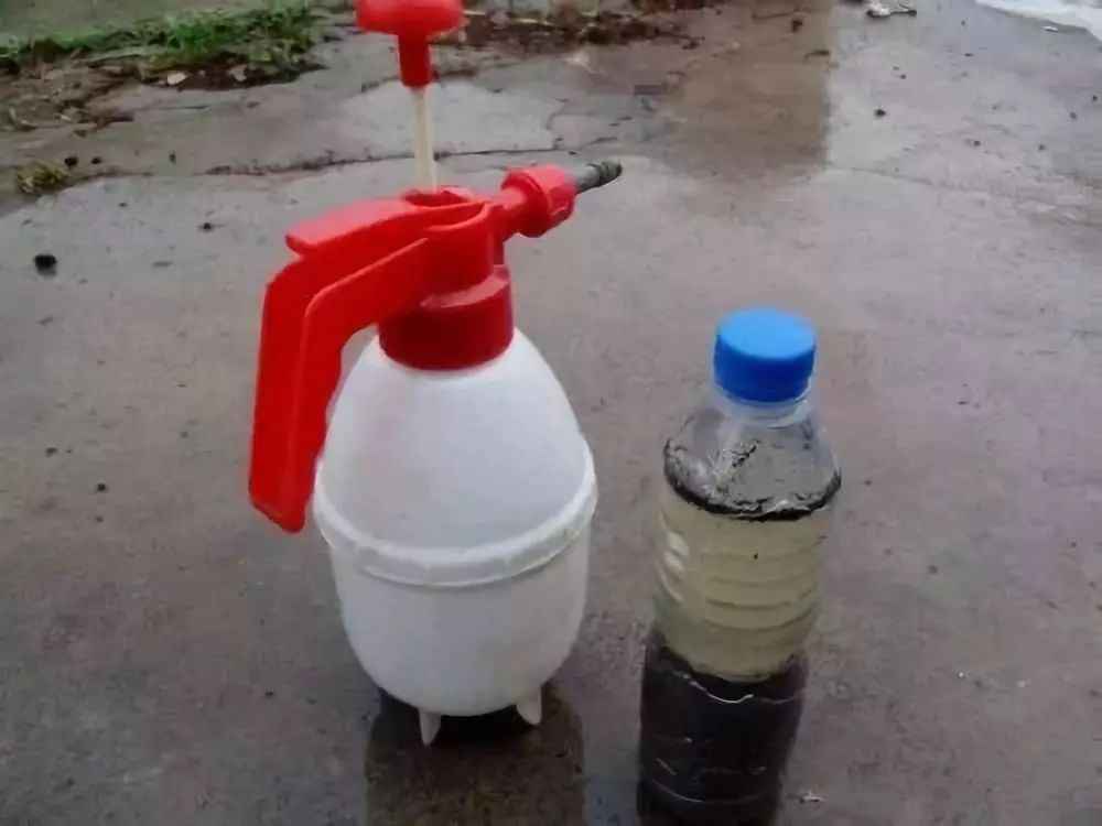 自制养花杀菌水，7天浇一勺，虫子全死光，再也不黄叶！