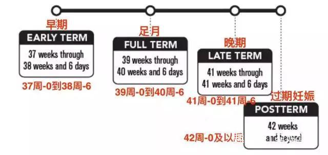 妊娠期|如果你是这三种孕妈，宝宝基本不会在预产期那天出生