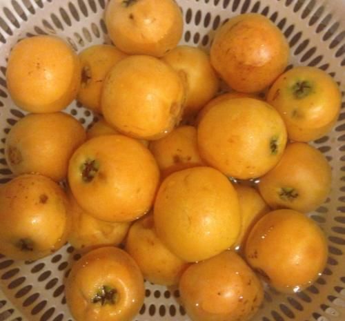 毒素|经常咳嗽吃点它，每周吃一点，润肺止咳又化痰，排出毒素，肠道变通畅