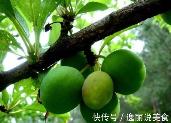 杨梅|女性过了30,多吃3种食物,补水养颜、滋润肌肤,好吃又健康