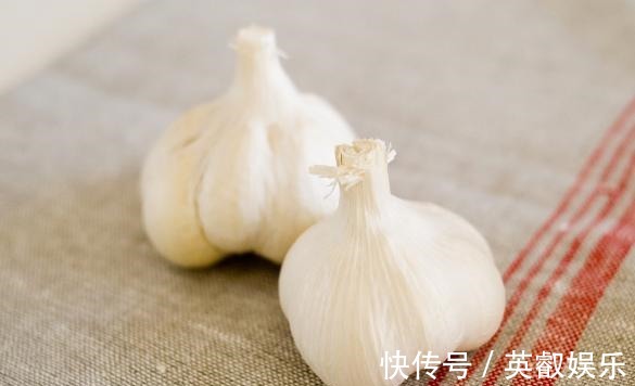 养花如何提升植物的抵抗力,减少病虫害用这2款调味品!