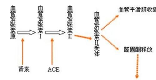 高钾血症|新药：非奈利酮上市，治疗糖尿病和肾病，又有新的选择了！