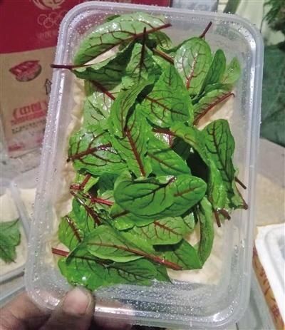 开心|“开心农场”让家乡父老开心挣钱